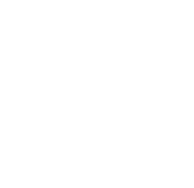 Our THE Bread